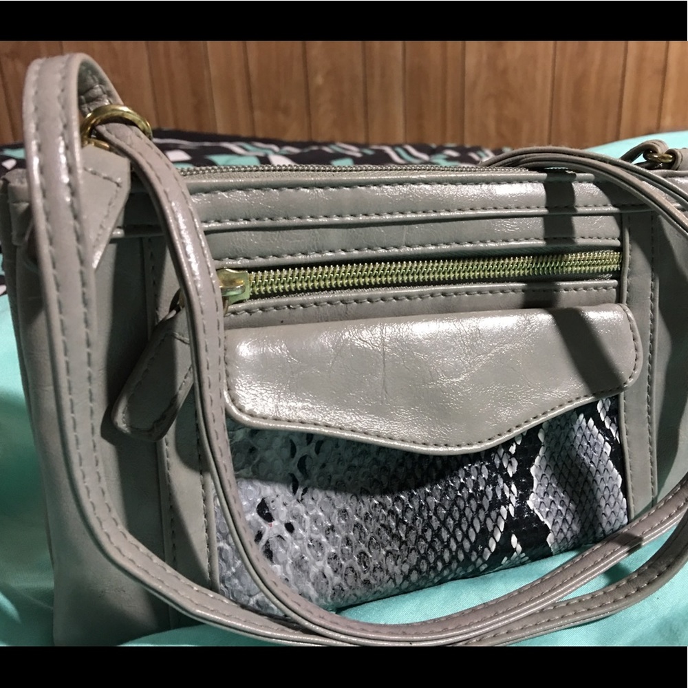 Crossbody purse/organizer